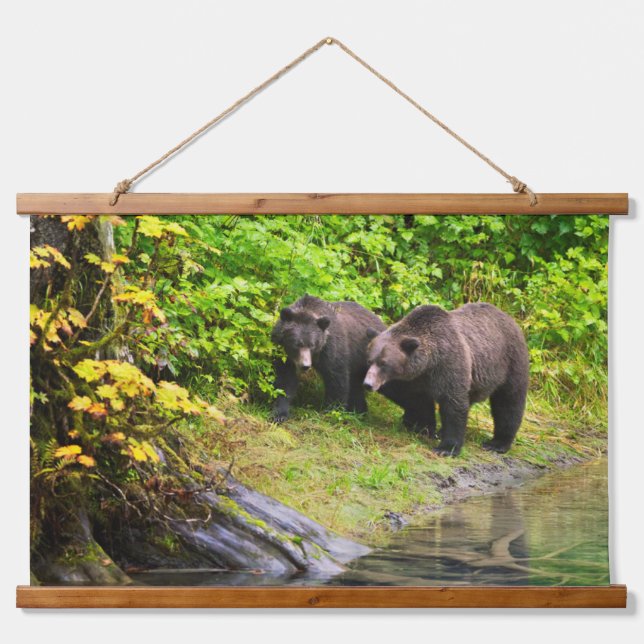 Brown Bear & Cub | Hyder, Alaska Hanging Tapestry (Front)