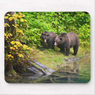 Brown Bear & Cub   Hyder, Alaska Mouse Mat