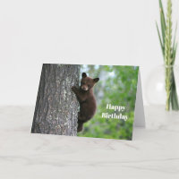 Brown Bear Cub Tree Photo Birthday