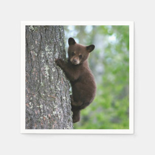 Brown Bear Cub Tree Photo Napkin