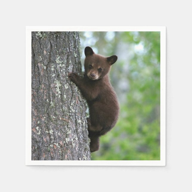 Brown Bear Cub Tree Photo Napkin (Front)