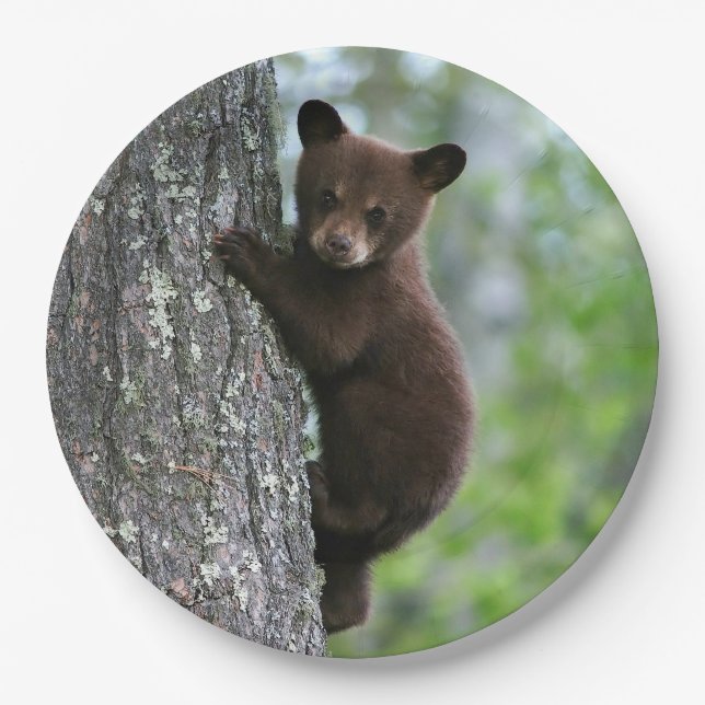 Brown Bear Cub Tree Photo Paper Plate (Front)