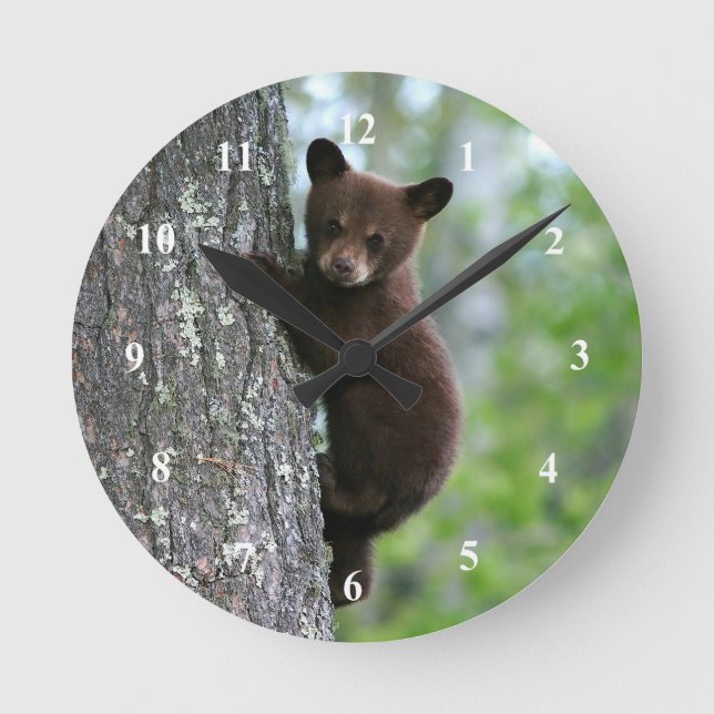 Brown Bear Cub Tree Photo Round Clock (Front)