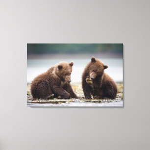 Brown Bear Cubs by the Stream Canvas Print
