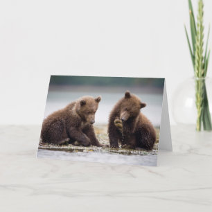 Brown Bear Cubs by the Stream Card