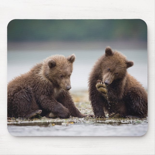 Brown Bear Cubs by the Stream Mouse Mat (Front)