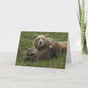 Brown Bear Cubs Cuddling with their Mother Card