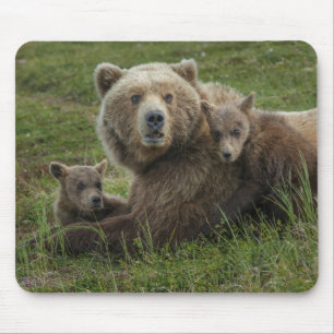 Brown Bear Cubs Cuddling with their Mother Mouse Mat