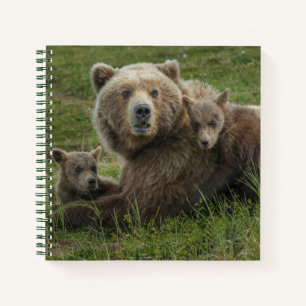 Brown Bear Cubs Cuddling with their Mother Notebook