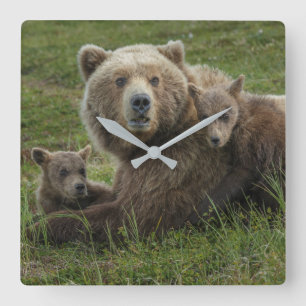 Brown Bear Cubs Cuddling with their Mother Square Wall Clock