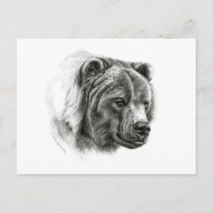 Brown Bear Design by Schukina G054 Postcard