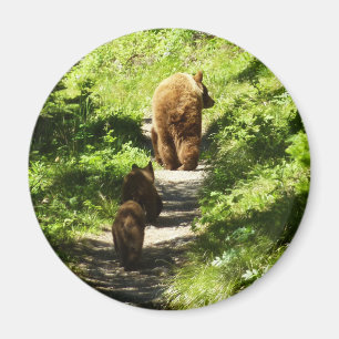 Brown Bear Family Magnet