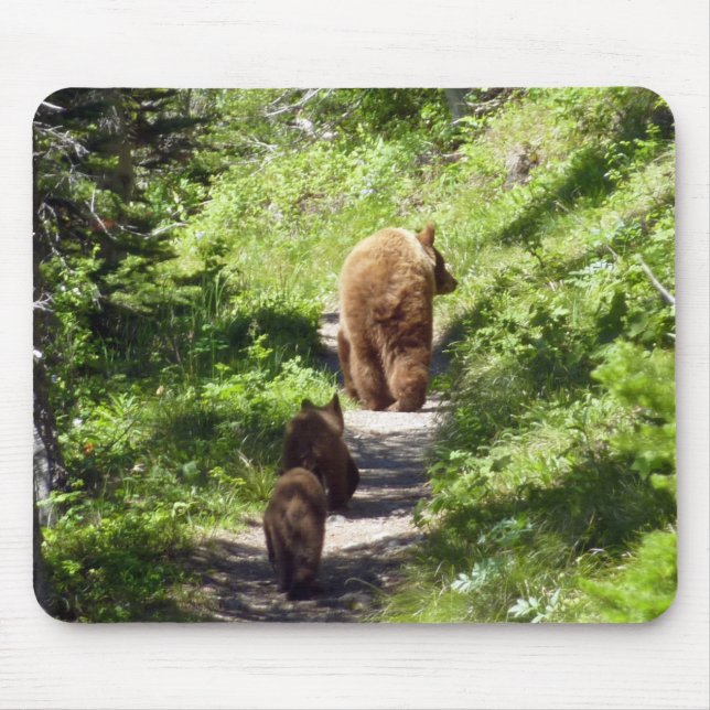 Brown Bear Family Mouse Mat (Front)