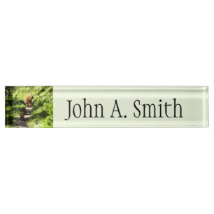 Brown Bear Family Nameplate