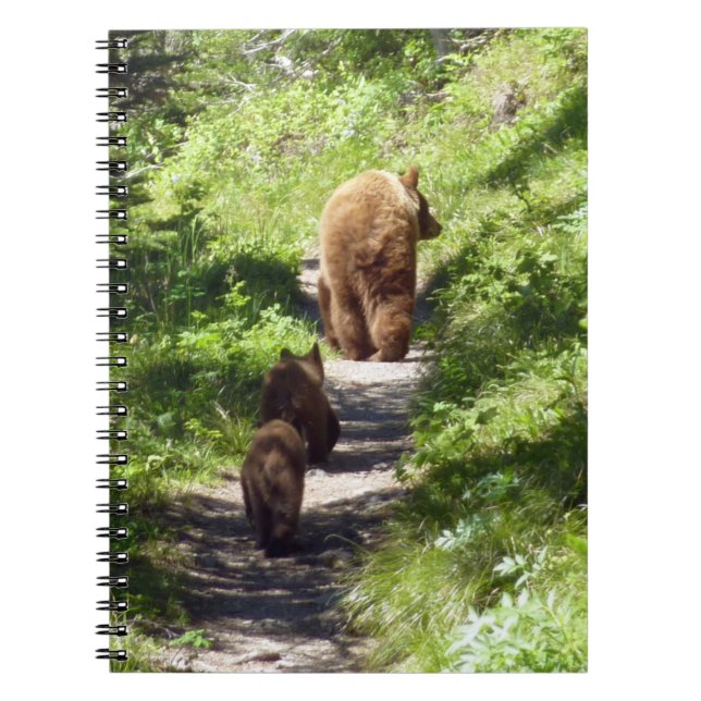 Brown Bear Family Notebook (Front)