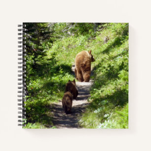Brown Bear Family Notebook