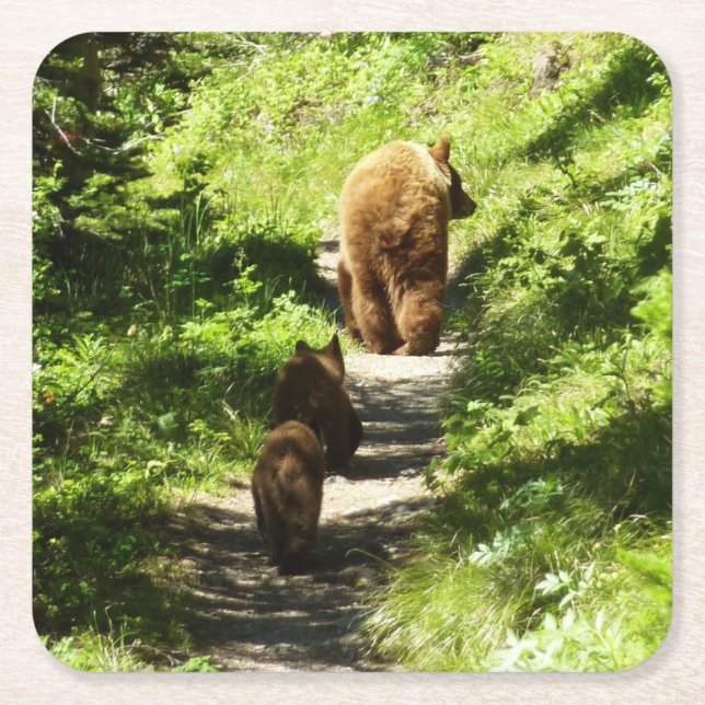 Brown Bear Family Square Paper Coaster (Front)