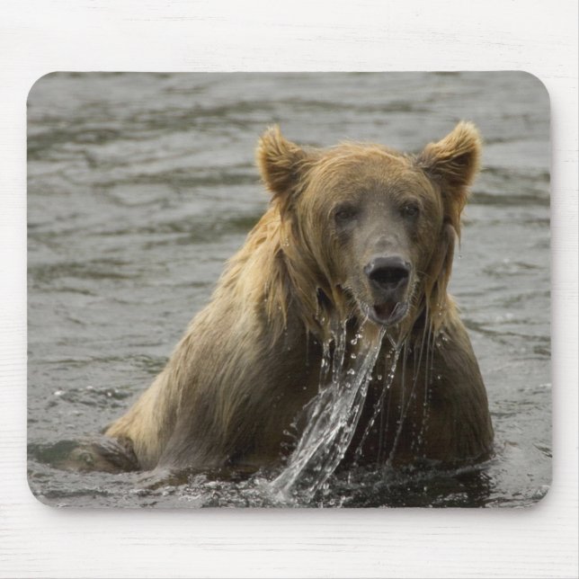 Brown bear fishing mousepad (Front)