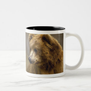 Brown Bear Gifts Two-Tone Coffee Mug