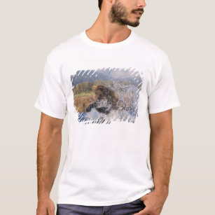 Brown bear, grizzly bear, catching pink salmon, T-Shirt