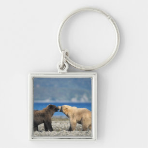 Brown bear, grizzly bear, play on the beach, key ring