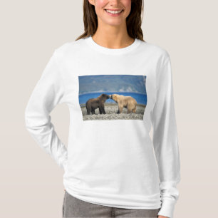 Brown bear, grizzly bear, play on the beach, T-Shirt