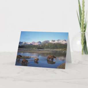 Brown bear, grizzly bear, sow and cubs in card