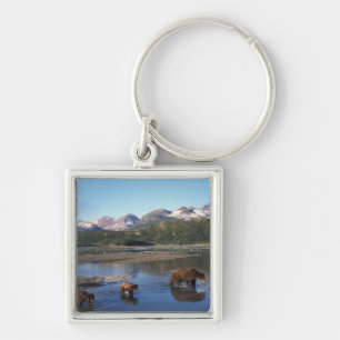 Brown bear, grizzly bear, sow and cubs in key ring