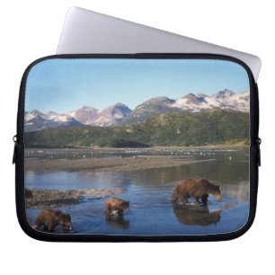 Brown bear, grizzly bear, sow and cubs in laptop sleeve