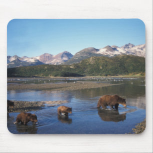Brown bear, grizzly bear, sow and cubs in mouse mat