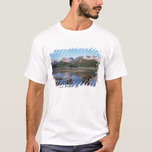 Brown bear, grizzly bear, sow and cubs in T-Shirt