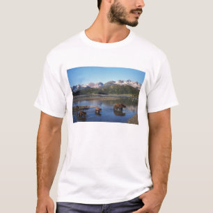Brown bear, grizzly bear, sow and cubs in T-Shirt