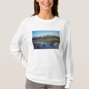 Brown bear, grizzly bear, sow and cubs in T-Shirt