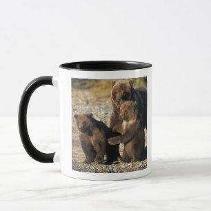 Brown bear, grizzly bear, sow with cubs on coast mug