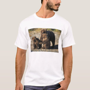 Brown bear, grizzly bear, sow with cubs on coast T-Shirt