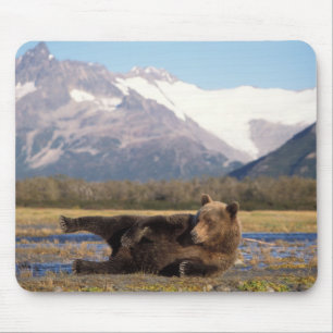 Brown bear, grizzly bear stretching on its back mouse mat