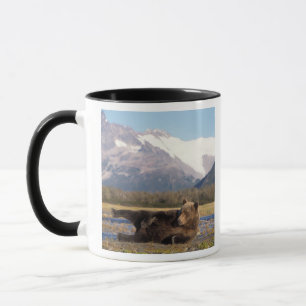 Brown bear, grizzly bear stretching on its back mug
