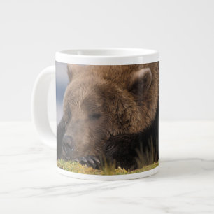 Brown bear, grizzly bear, taking a nap, Katmai Large Coffee Mug