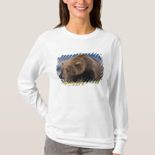 Brown bear, grizzly bear, taking a nap, Katmai T-Shirt