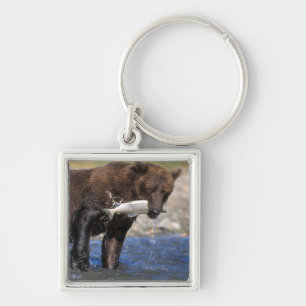 Brown bear, grizzly bear, with salmon catch, key ring