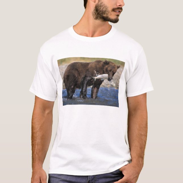 Brown bear, grizzly bear, with salmon catch, T-Shirt (Front)