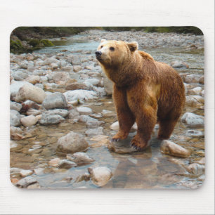Brown Bear in Stream Mouse Mat