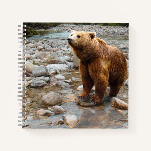 Brown Bear in Stream Notebook (Front)