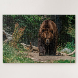 Brown Bear Jigsaw Puzzle