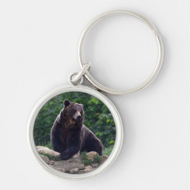 Brown bear key ring (Front)