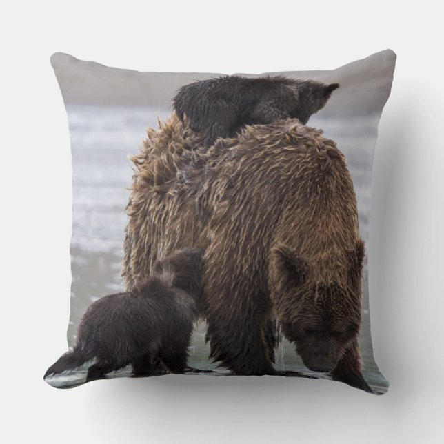 Brown Bear | Lake Clark National Park Cushion (Front)