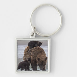 Brown Bear Lake Clark National Park Key Ring