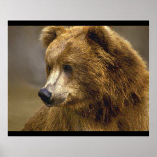 Brown Bear Lovers Poster