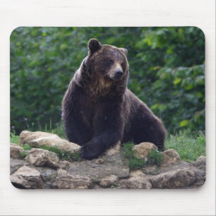 Brown bear mouse mat