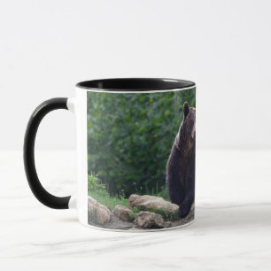 Brown bear mug